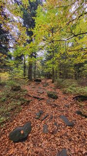 Photo de Sebastian le long du parcours