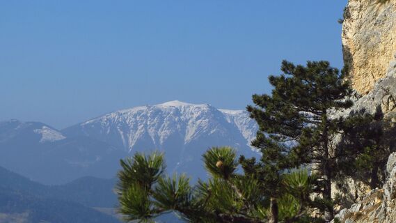 Gebirgsvereinssteig
