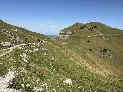 Photo de Daniel Herz le long du parcours
