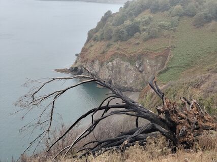 Fotografia z didgur na trase