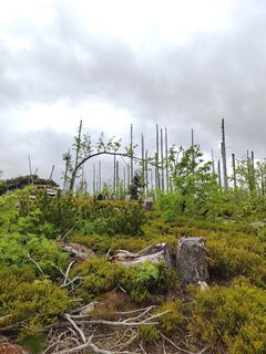 Fotó a ReginaSt honlapról a túra során