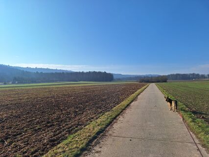 Foto von Pascal Küchler entlang der Tour