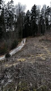 Fotografija s spletne strani Balázs Zeley na poti