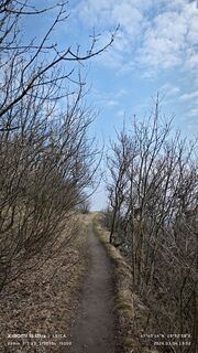 Fotografia z damilaja242 na trase