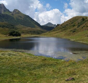 Zollnersee