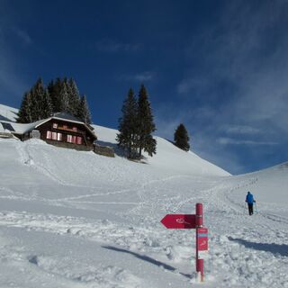 Schneeschuhtrail Selibüel-Panoramatrail