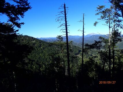Aufstieg durch den Wald