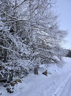 Foto de Sigrid Böhm a lo largo del recorrido