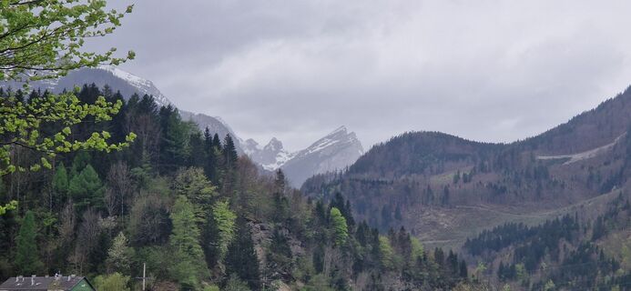 Kuva osoitteesta Utassy Tóth Johanna matkan varrella