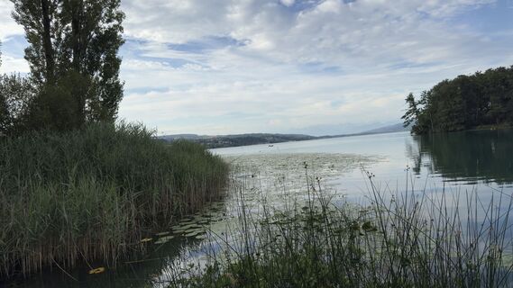 Foto von Capricorn entlang der Tour