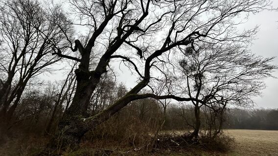 Fotografie z Richard Forchtner na trase