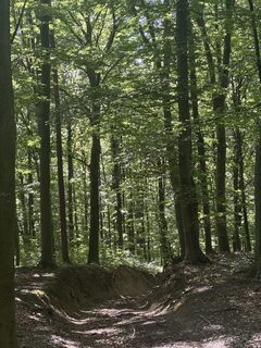Foto von Peter Kollreider entlang der Tour