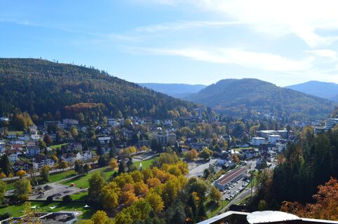 Falkensteinfelsen Aussicht