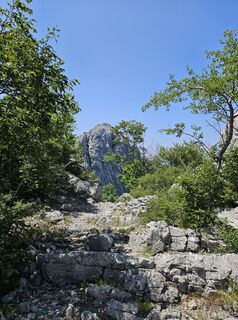 Photo de Mario Stanke le long du parcours
