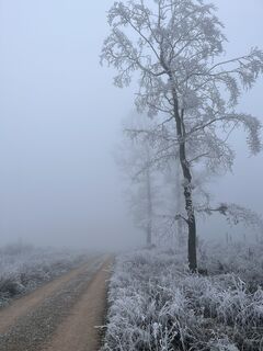 Fotografie z Andreas na trase