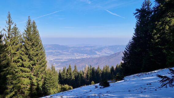 Foto de Ernst Brezina a lo largo del recorrido
