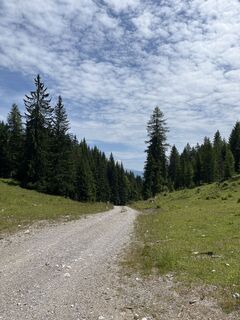 Foto von Heinz Sperl entlang der Tour