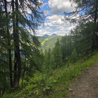 Foto de Ronnyheinitz a lo largo del recorrido