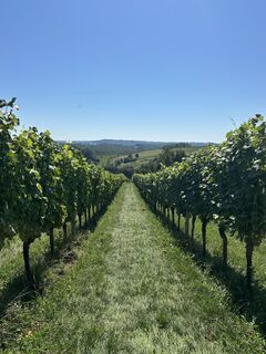 Fotó a Aleksandra Filiakova honlapról a túra során