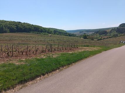 Foto von Jean-Pierre Sion entlang der Tour
