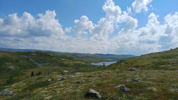 Fotografija s spletne strani Snusmumrikken na poti