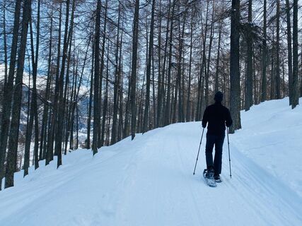 Schneeschuh-Wanderweg Dalpe - Lo Scoiattolo