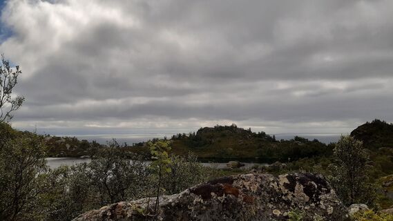 Foto de nordbergschnecke a lo largo del recorrido
