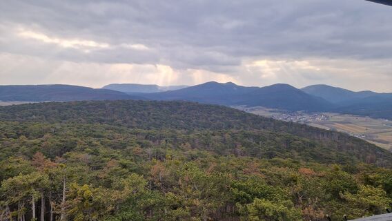 Fotografia z Claudia Maurer na trase