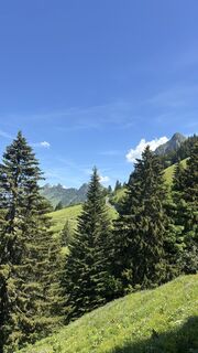 Foto von Erwan Flt entlang der Tour