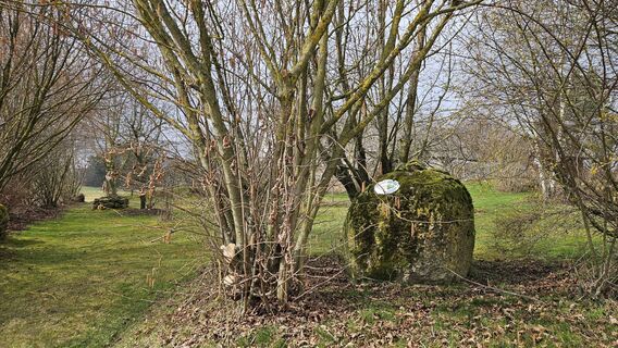 Naturgarten in Grossgrundholz