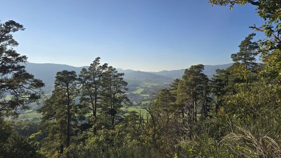 Foto von Katja Senkel entlang der Tour