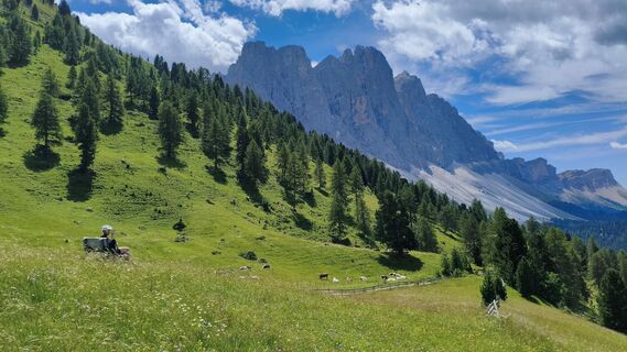 Foto von walrei entlang der Tour