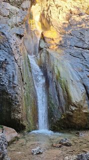 Zdjęcie z Regina Fleischmann wzdłuż trasy