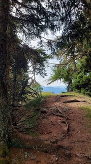 Foto von Matthias Maier entlang der Tour