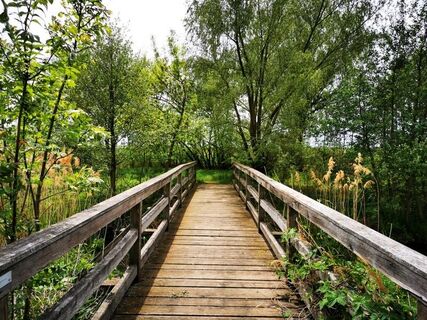 Das Naherholungsgebiet bei Roseldorf lädt zum Chillen ein