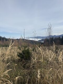 Photo de Walter.Staffelmayr le long du parcours