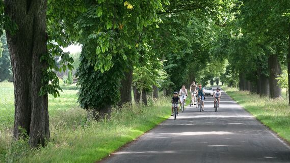 Ulenburger Allee
