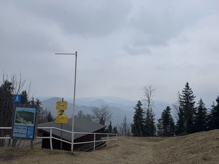 Foto de zizi a a lo largo del recorrido