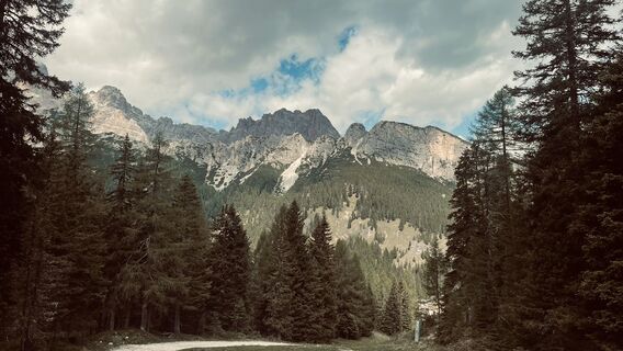 Foto von Eelco de Vries entlang der Tour