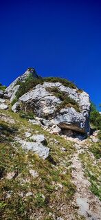 Fotografija s spletne strani ReginaSt na poti