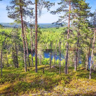 Schöne Aussichten vom Gipfel des Hügels