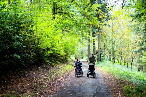freiheitswerkexpanorama361_Neckartal-Odenwald-53-2