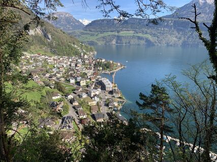 Fotografija s spletne strani Roman Mac na poti