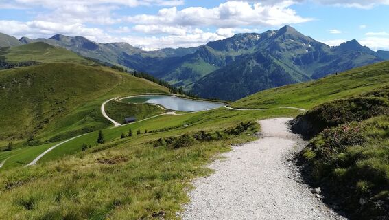 E Bike Schatzberg Auffach © Wildschönau Tourismus