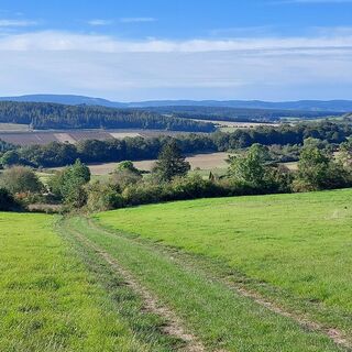 Stadtilm, Geilsdorf, Blick zum Thüringer Wald