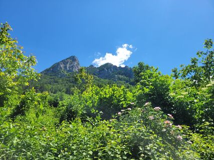 Fotografie de la Juliane Jarke de-a lungul turului