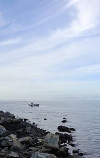 Zdjęcie z Bob Moh wzdłuż trasy