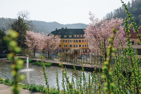 Park der Zeiten im Frühling in Schramberg
