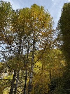 Zdjęcie z Marisa scafetta wzdłuż trasy