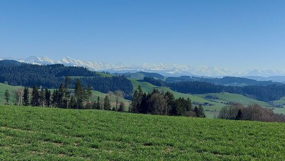Fotó a ChrisPayer honlapról a túra során